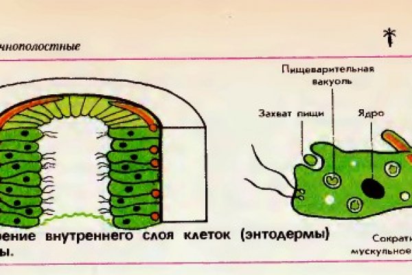 Mega sb зеркало сайта