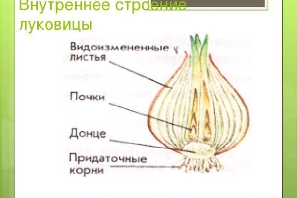 Мега даркент официальный сайт