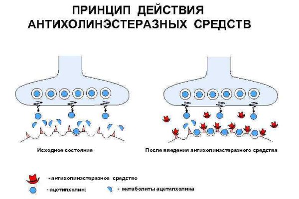 Мега площадка зеркало